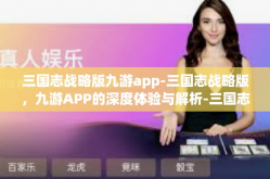 三国志战略版九游app-三国志战略版，九游APP的深度体验与解析-三国志战略版九游app